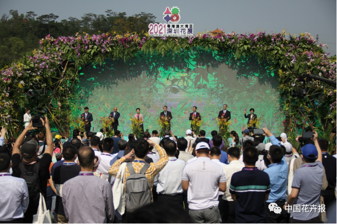 深圳花展194.png 图片