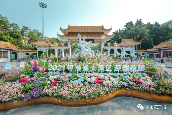 深圳花展196.png 图片