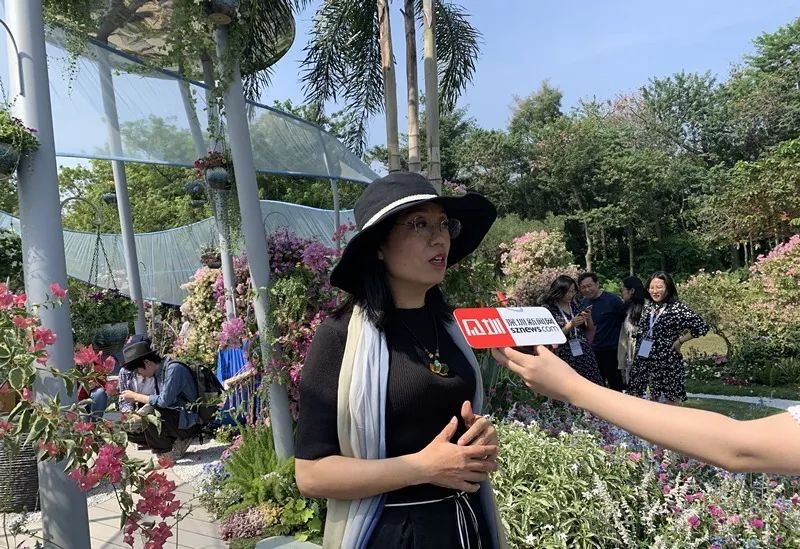 【精彩赏析】叶子花语梦,添香逐悦风 | 2019深圳簕杜鹃花展之悦动花园(图3) 图片