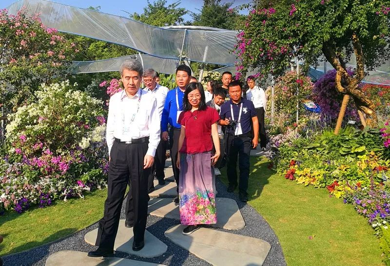 【精彩赏析】叶子花语梦,添香逐悦风 | 2019深圳簕杜鹃花展之悦动花园(图2) 图片