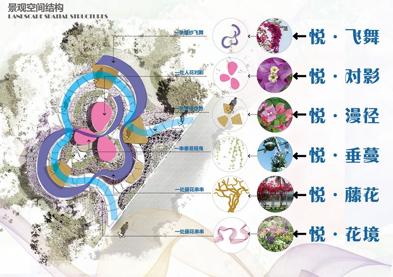 【精彩赏析】叶子花语梦,添香逐悦风 | 2019深圳簕杜鹃花展之悦动花园(图4) 图片