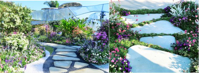 【精彩赏析】叶子花语梦,添香逐悦风 | 2019深圳簕杜鹃花展之悦动花园(图9) 图片