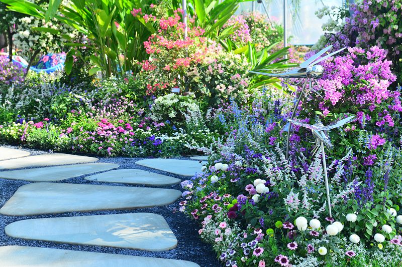 【精彩赏析】叶子花语梦,添香逐悦风 | 2019深圳簕杜鹃花展之悦动花园(图13) 图片