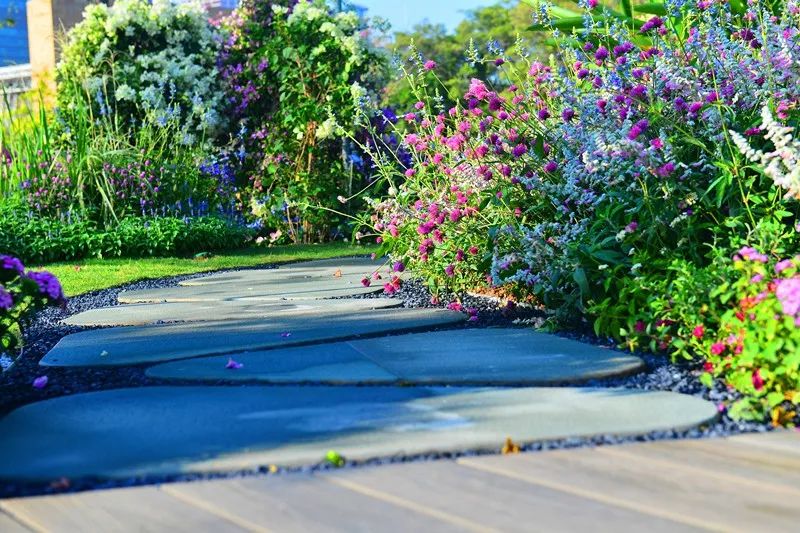 【精彩赏析】叶子花语梦,添香逐悦风 | 2019深圳簕杜鹃花展之悦动花园(图18) 图片