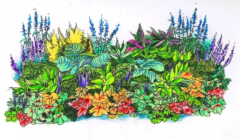 【精彩赏析】叶子花语梦,添香逐悦风 | 2019深圳簕杜鹃花展之悦动花园(图17) 图片