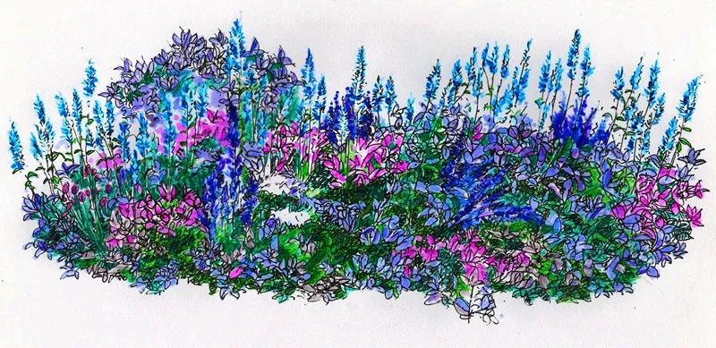 【精彩赏析】叶子花语梦,添香逐悦风 | 2019深圳簕杜鹃花展之悦动花园(图23) 图片